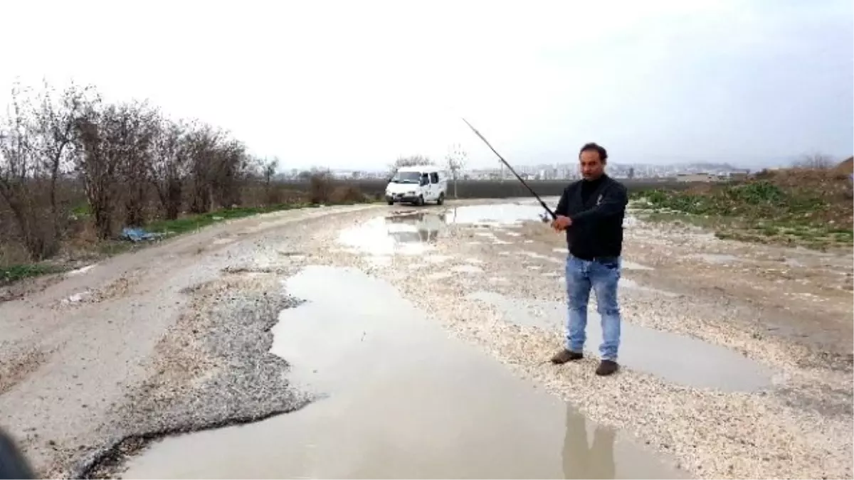 Ana Yolda Olta ile Balık Avladı