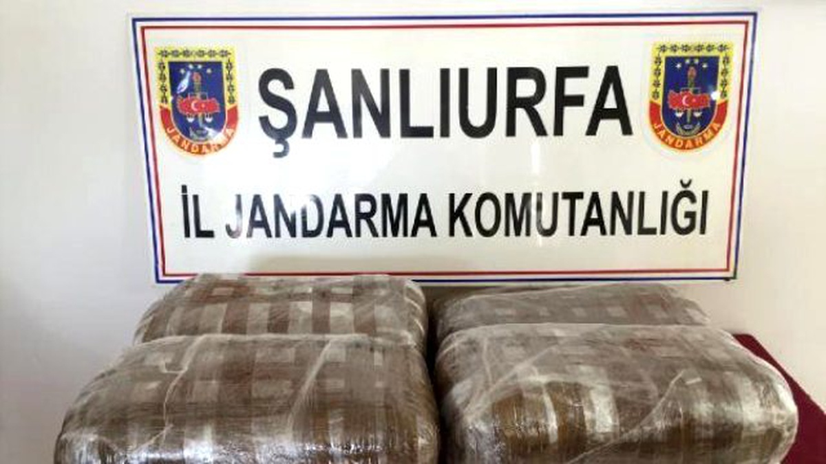 Şanlıurfa\'da Yolcu Bagajında 50 Kilo Esrar, 2 Gözaltı
