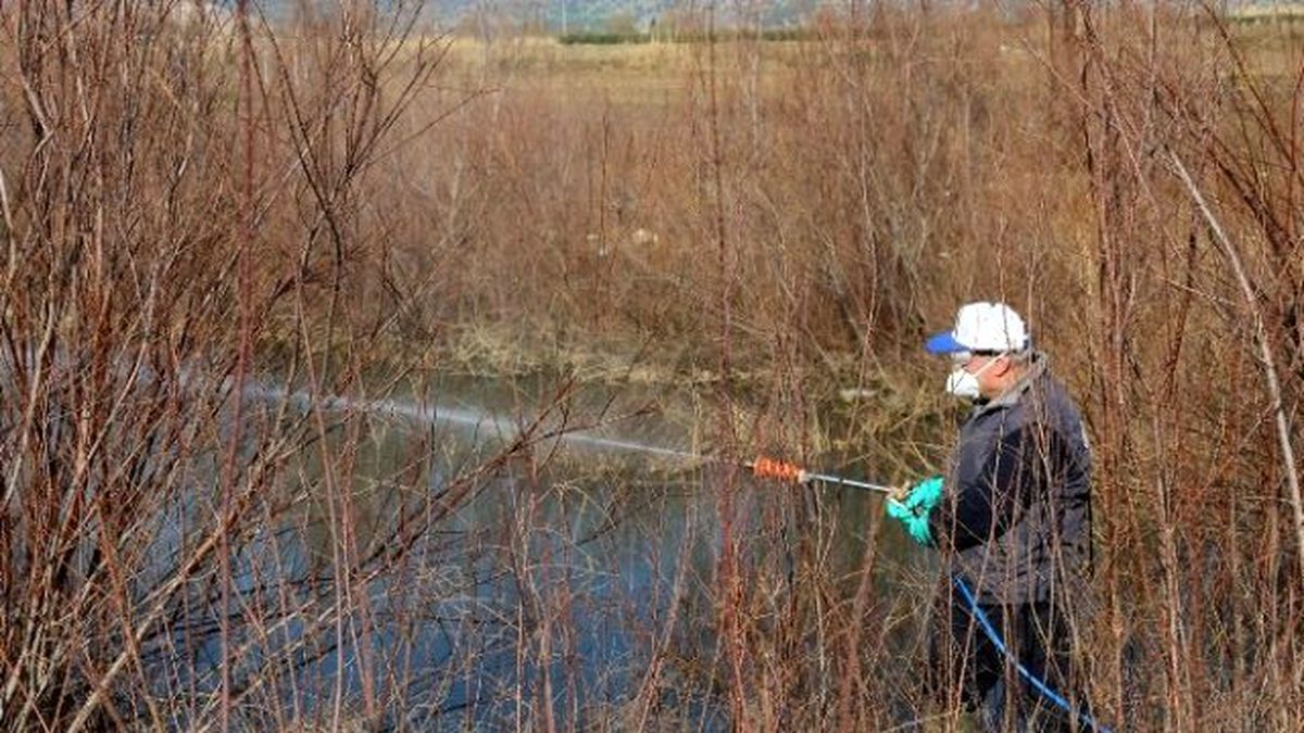 Selçuk\'ta Sivrisinekle Mücadele Kış Aylarında da Sürüyor