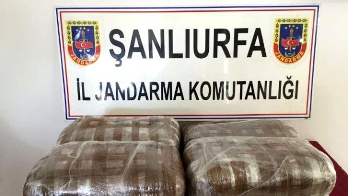 Yolcunun Valizinden 50 Kilo Esrar Çıktı