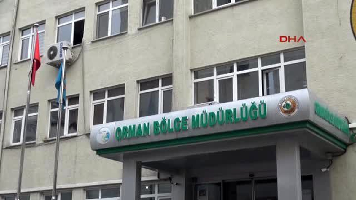 Artvin Eşil Artvin Derneği: Şirketin Ne Kadar Kirli İlişkiler İçinde Olduğu Görülüyor