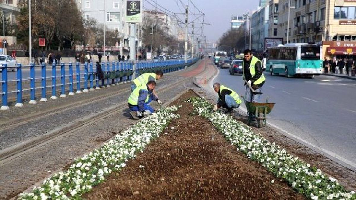 Büyükşehir\'den 2 Milyon Çiçek