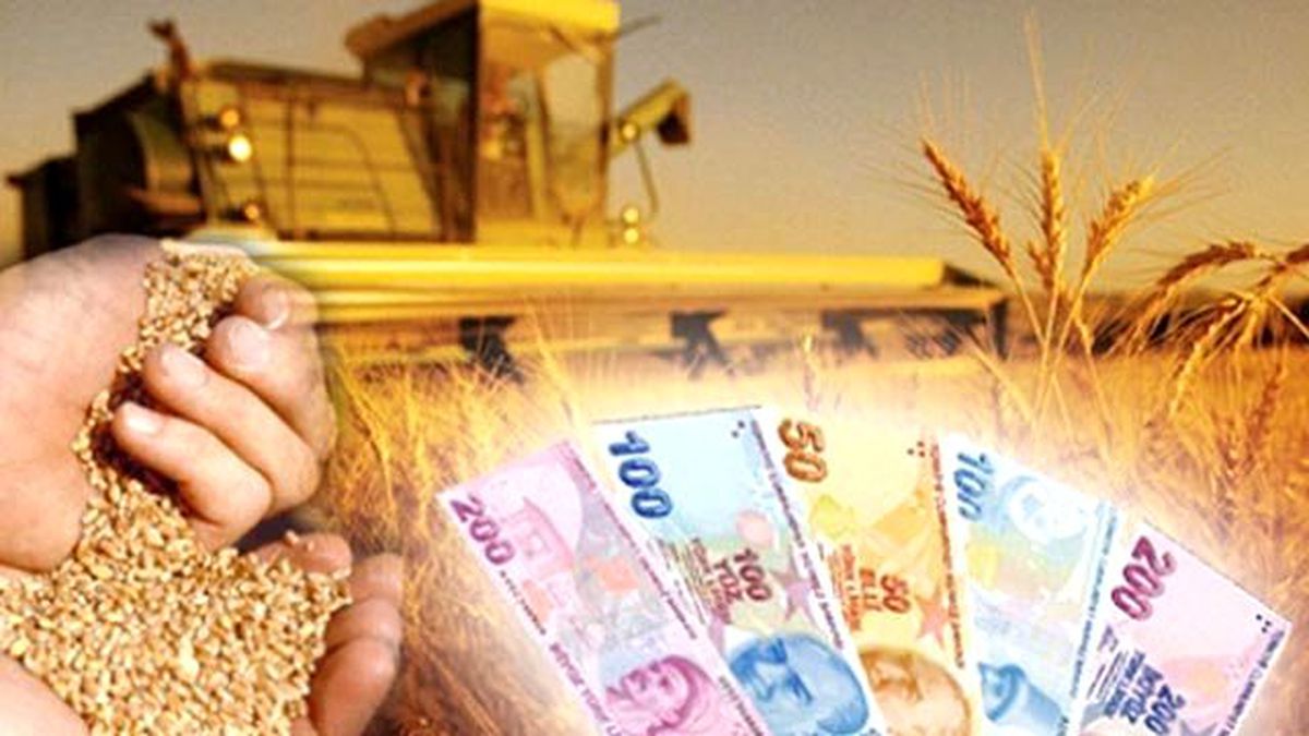 ÇKS Kaydında Son Gün 29 Şubat