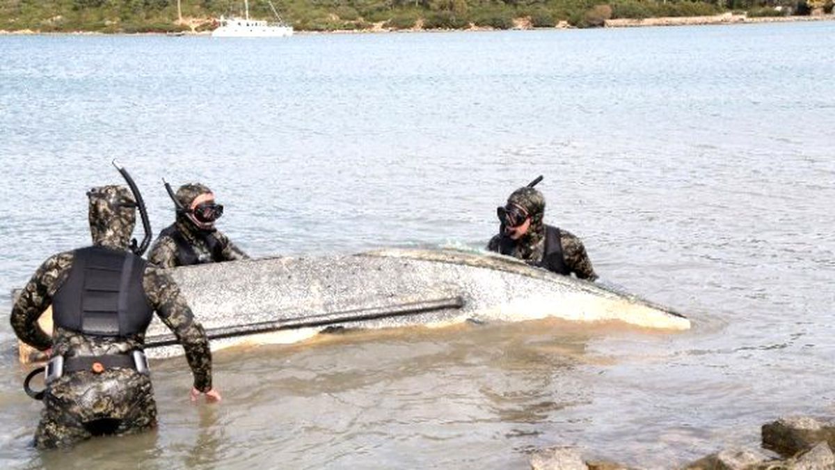 Deniz Dibinden Çıkanlar Görenleri Şaşırttı