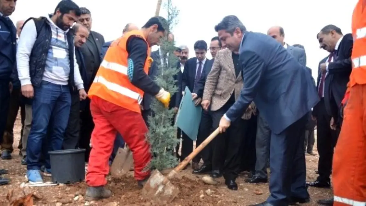 Kahta Seyir Tepesinde İlk Fidanlar Ekildi