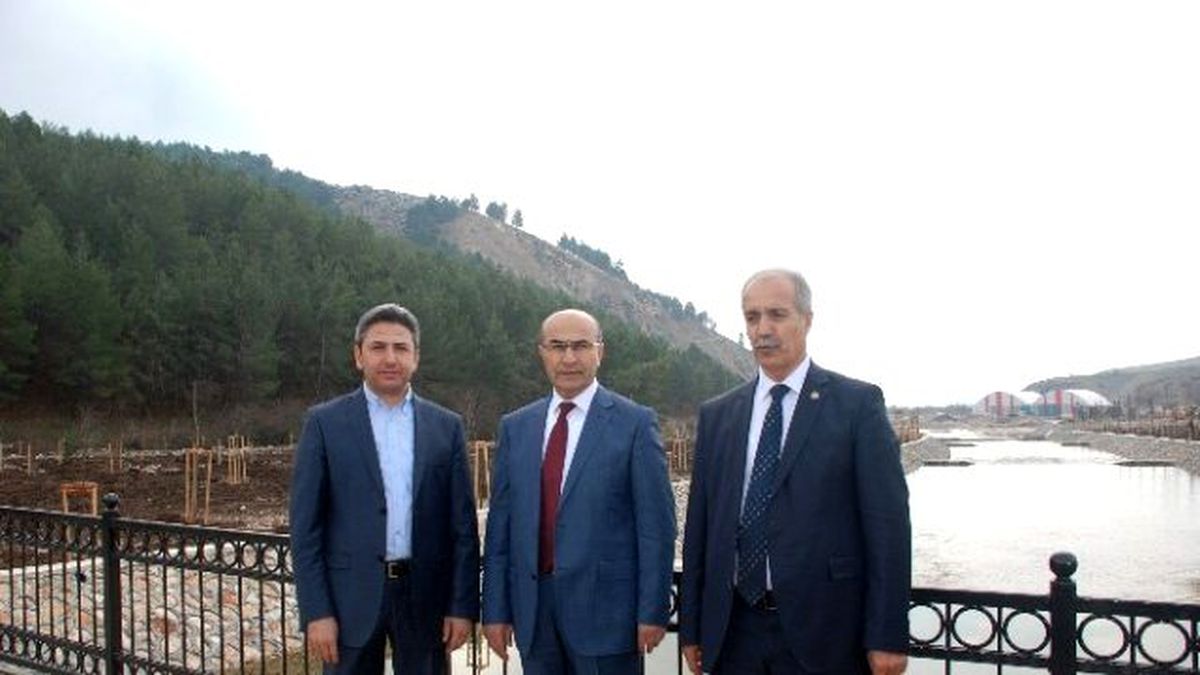 Milletvekilleri Beşpınar\'a, Ağaç Dikti