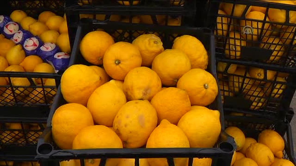 Sur'daki Güvenlik Güçlerine 10 Tonluk 'Vitamin' Desteği