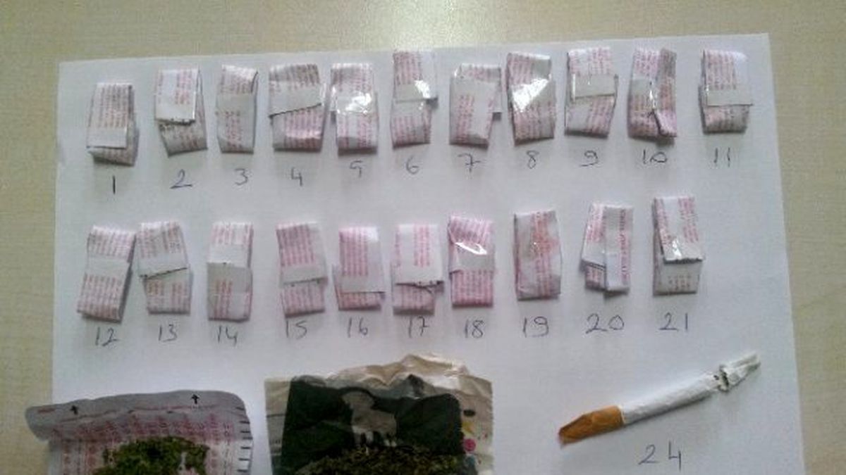 Yolcunun Çantasından Bonzai Çıktı