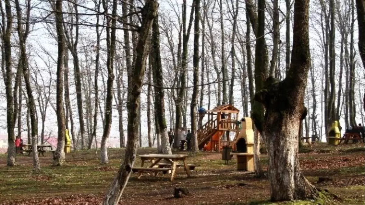 Akyazı Kuzuluk Mesire Alanı Yaza Hazır