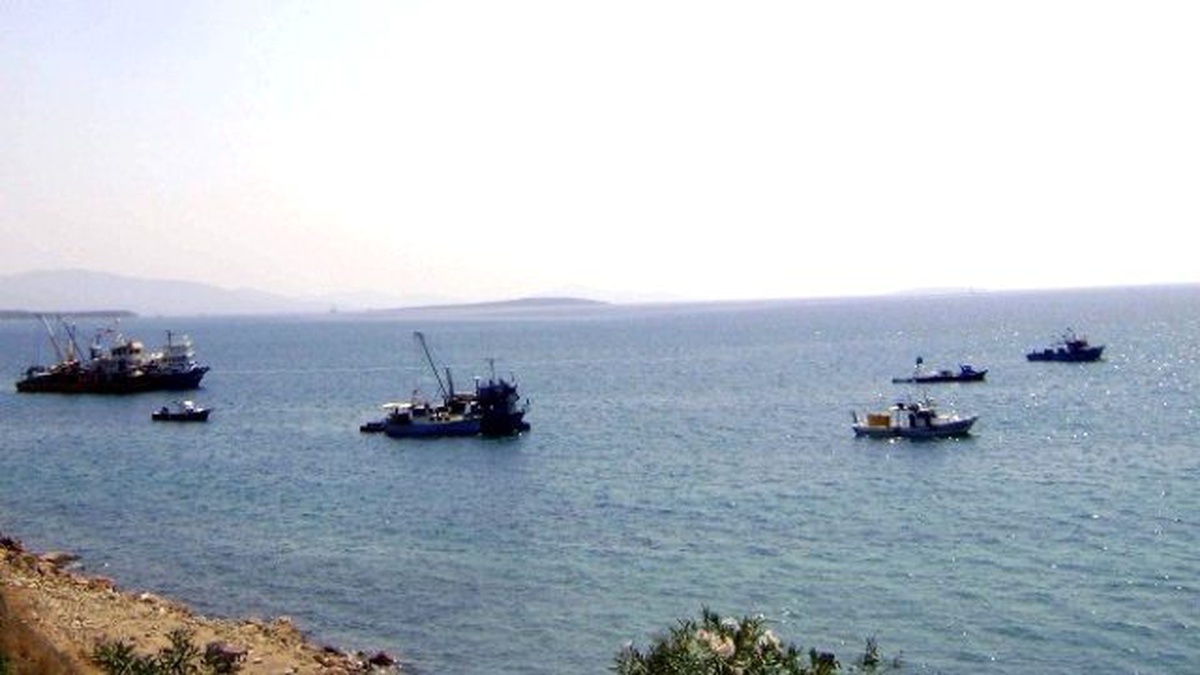 Balıkçıların Yüzü Gülüyor