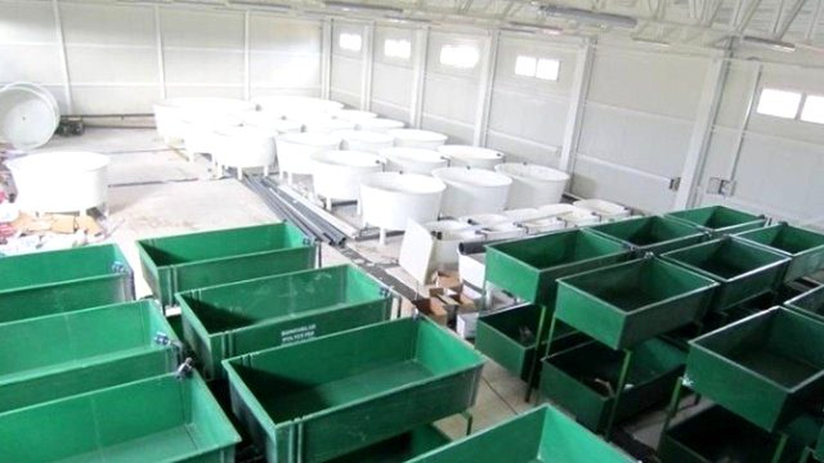 Bölgenin En Büyük Su Ürünleri Ar-Ge Merkezi Son Aşamasına Geldi