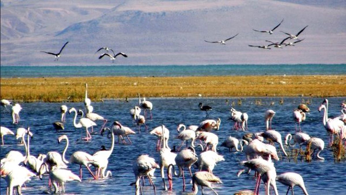 Doğa Turizmine 2 Milyon 650 Bin Tl