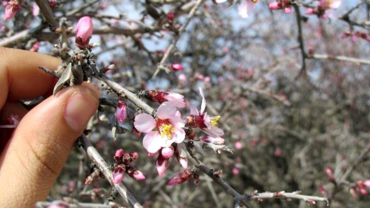 Gaziantep\'te Hava Sıcaklığı Yaz Günlerini Aratmadı