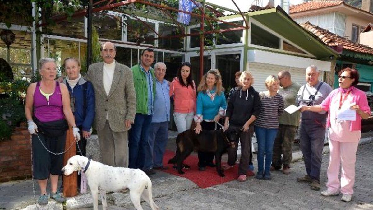 Her İşletmeye Bir Pati