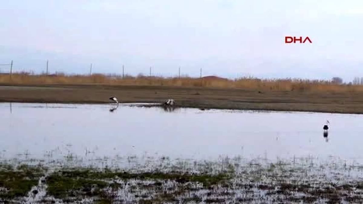 İğdır-Doğaya Yaban Hayat İçin Portakal, Elma, Muz Bıraktılar