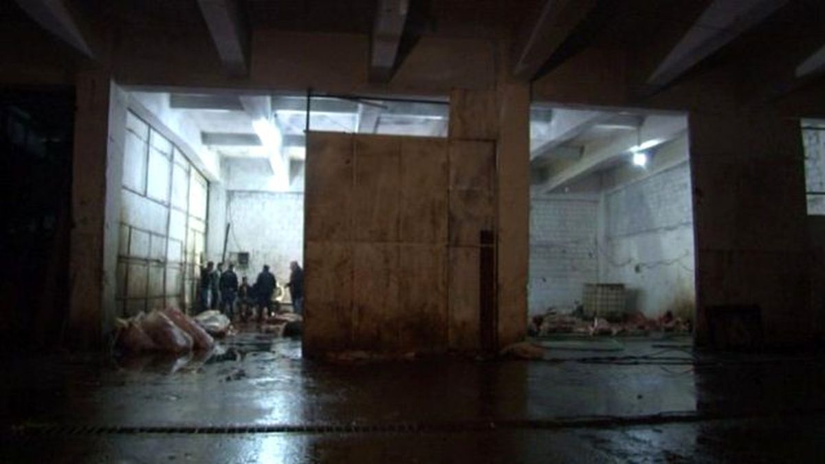 İzmir'de At Eti Operasyonu: 14 At Kesilmiş Halde Bulundu