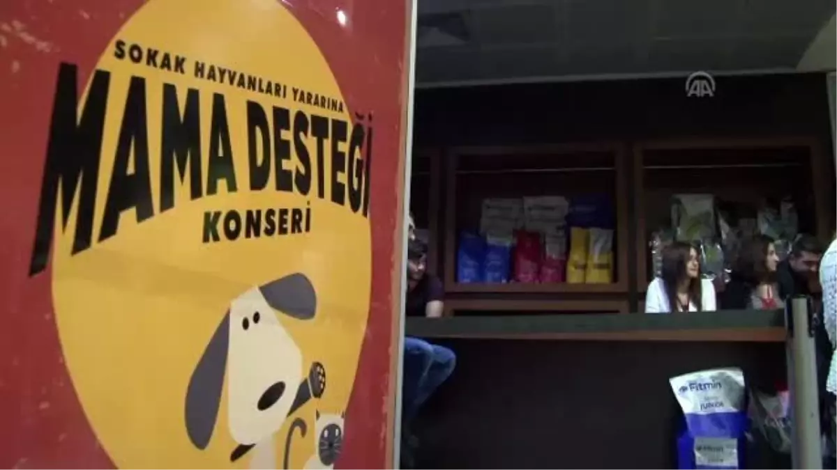 Sokak Hayvanları İçin Düzenlenen Konserde Bilet Yerine Mama - Bursa