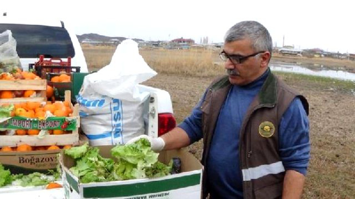 Yaban Hayatı İçin Portakal, Elma, Muz Bıraktılar