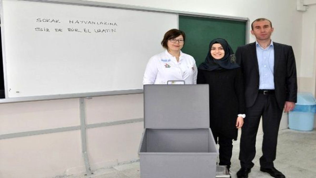 Bandırma\'da Sokak Hayvanları Aç Kalmayacak