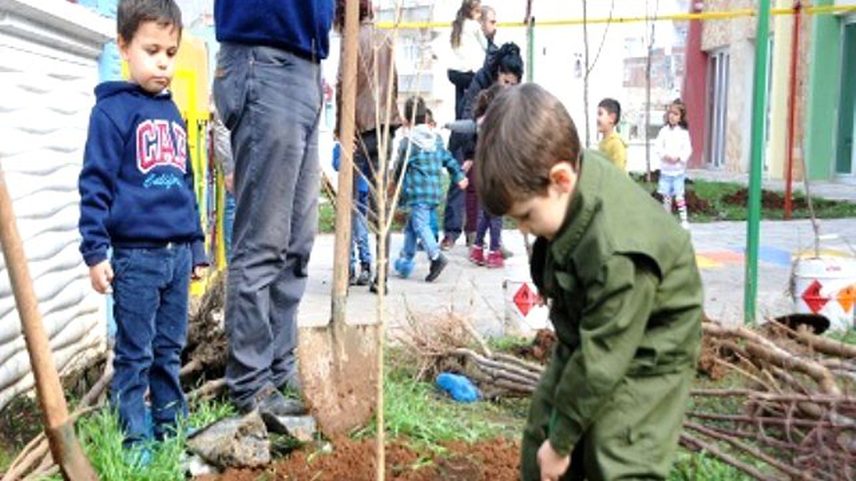 Ağaçlar Çocukların Sevgisiyle Büyüyecek