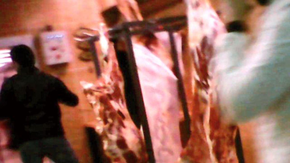 İstanbul'un Göbeğinde Kaçak Et Pazarlığı