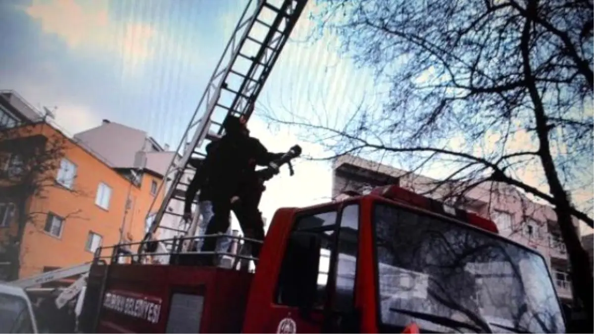 Kaçan Papağanını İtfaiye Ekipleri Yakaladı