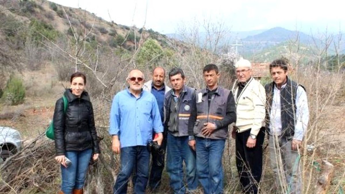 Sarıcakaya'da Menengiç Ağaçlarına Antep Fıstığı Aşısı