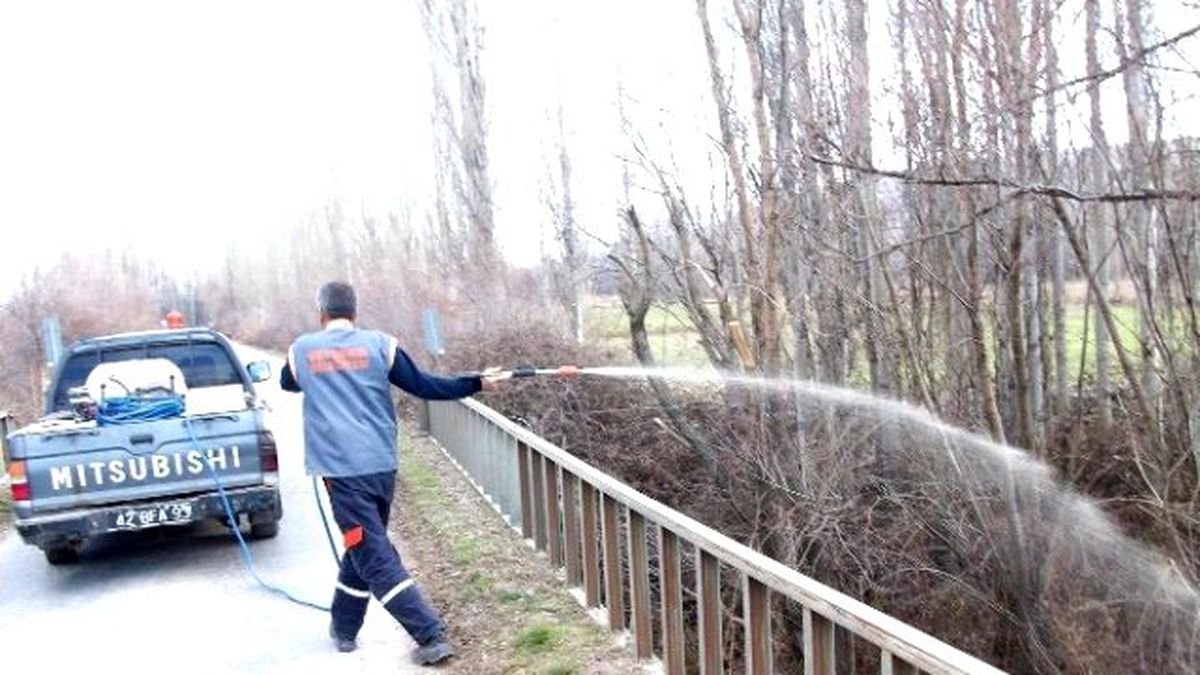 Beyşehir\'de Larva Mücadelesi Hız Kazandı