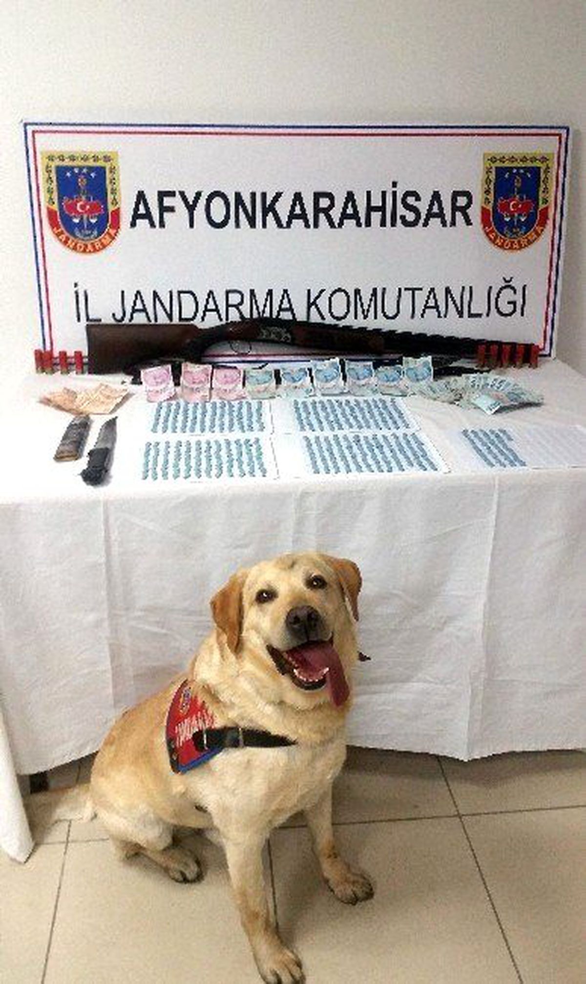 Jandarmadan Zehir Tacirlerine Yönelik Operasyon