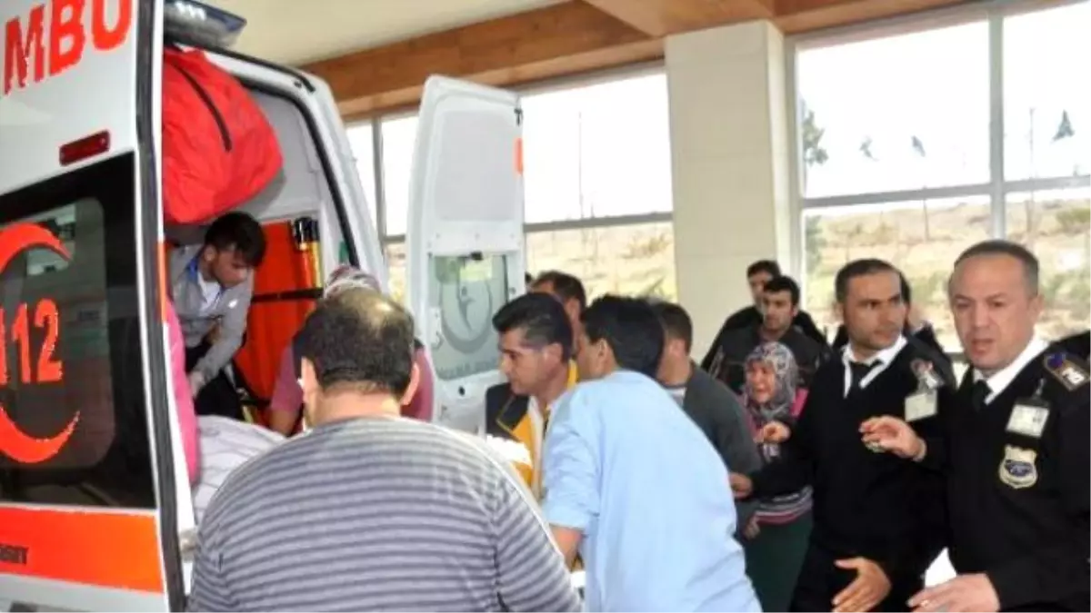 Karaman'da Köpek Kavgası: 1 Ölü, 1 Yaralı