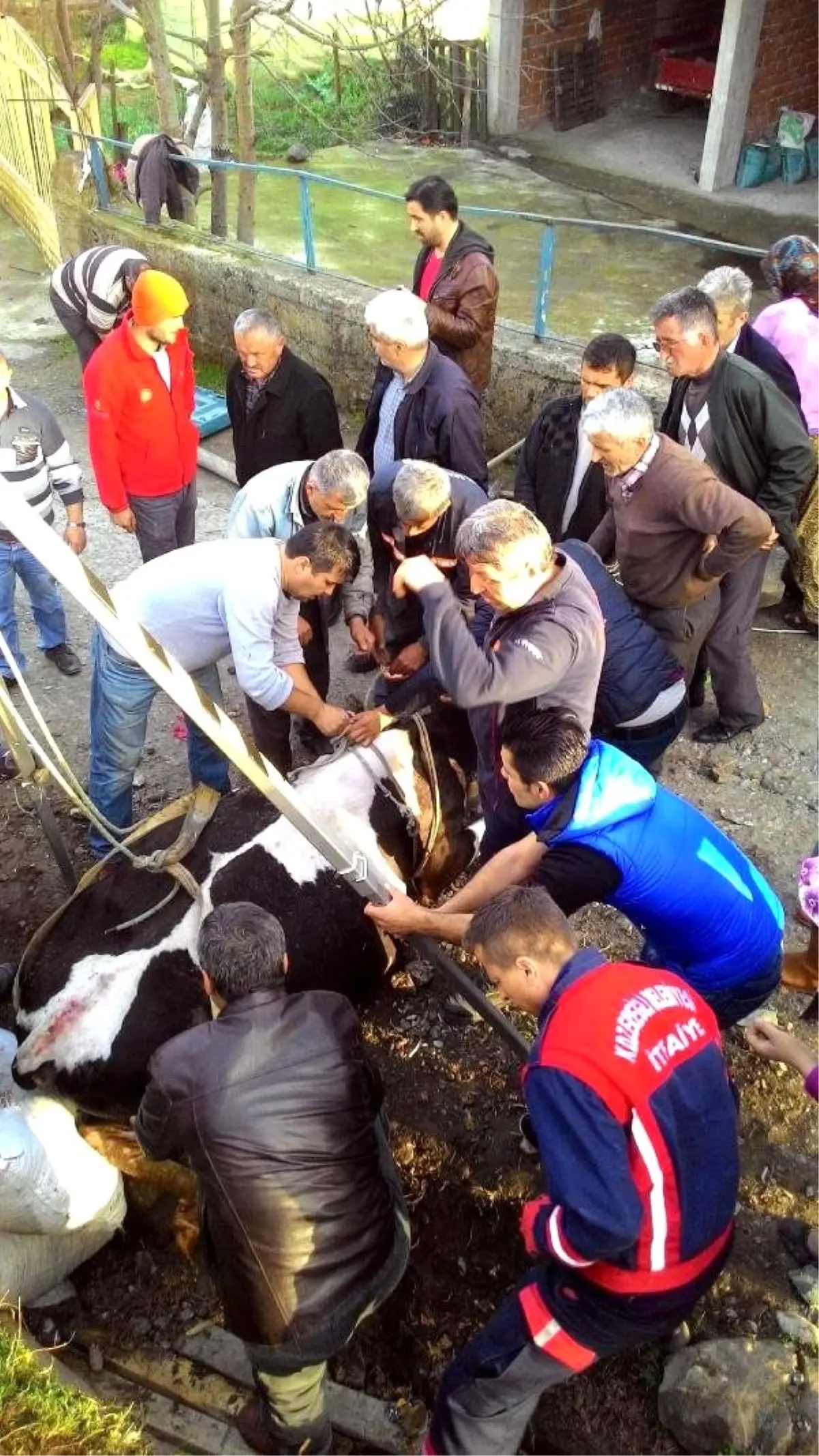 Su Kanalında Sıkışan İneği İtfaiye Kurtardı