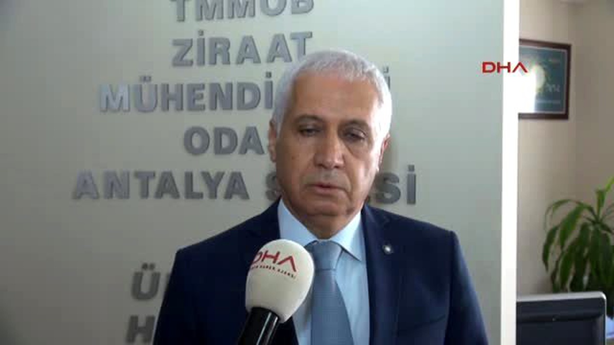 Antalya Satılmayan Domates 10 Kuruşa Salçacıda