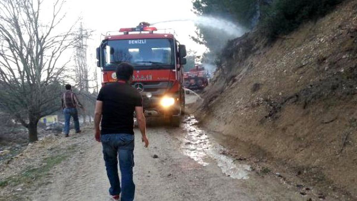 Denizli\'de Kış Mevsiminde Orman Yangını