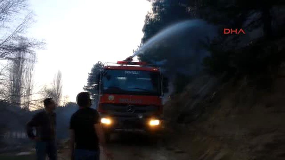 Denizli\'de Orman Yangını