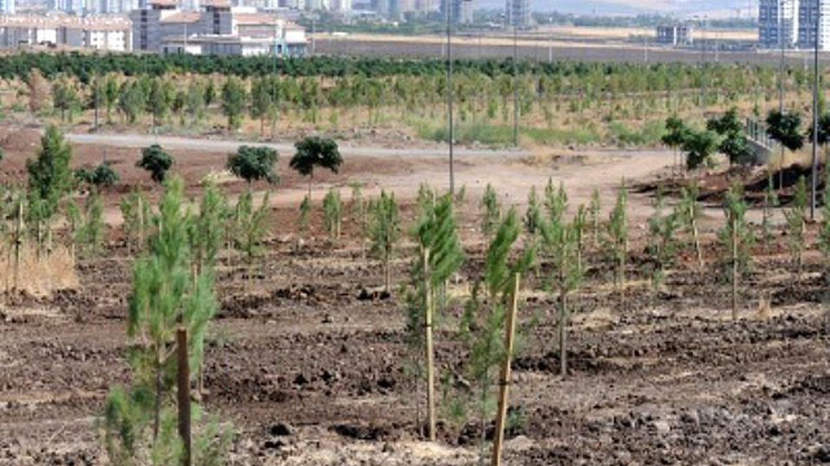 Kent Ormanı İçin Yapılan İtiraz Reddedildi