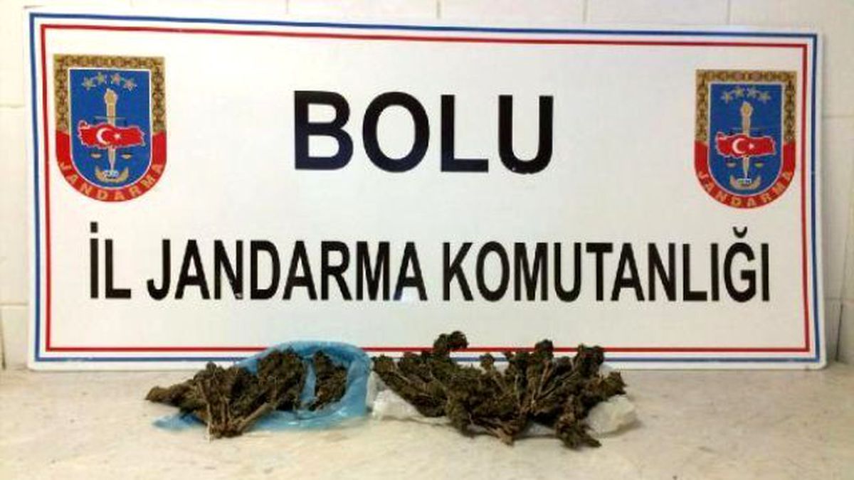 Otobüsteki Yolcunun Üzerinden Esrar Çıktı