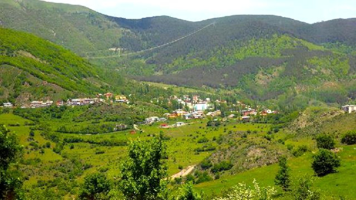 Posof Armudu, \'Doğal Antibiyotik\'