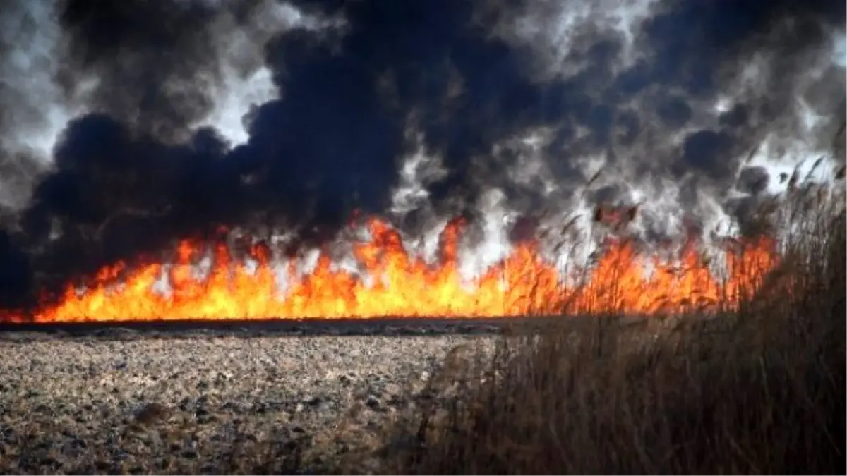 Silifke\'deki Kuş Cenneti Alev Alev Yanıyor