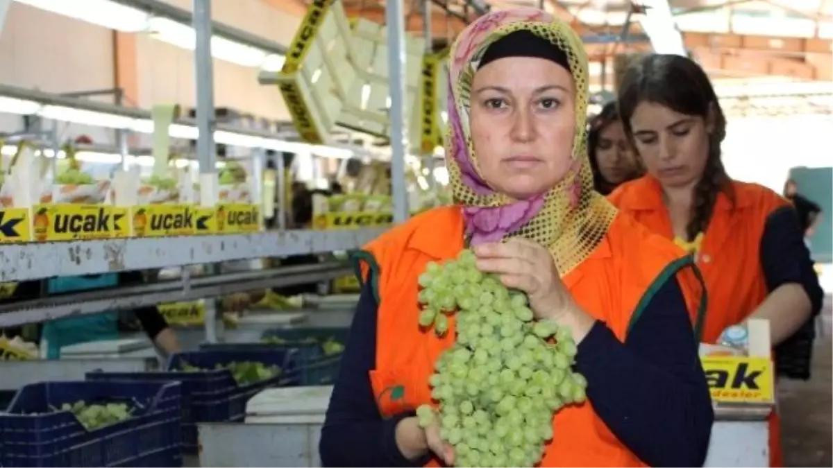 İhracat Rekortmeninden Üzümcülere Uyarı