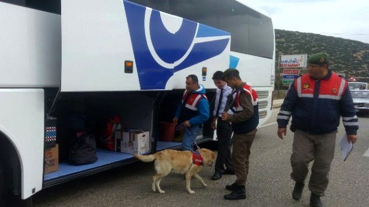 Jandarmadan Narkotik Köpekli Uygulama
