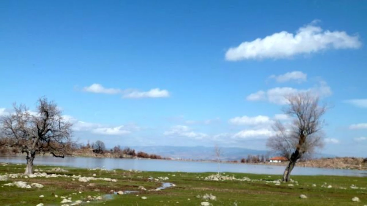 Kırsal Bölgelerdeki Vatandaşların Gelirleri Yükseliyor