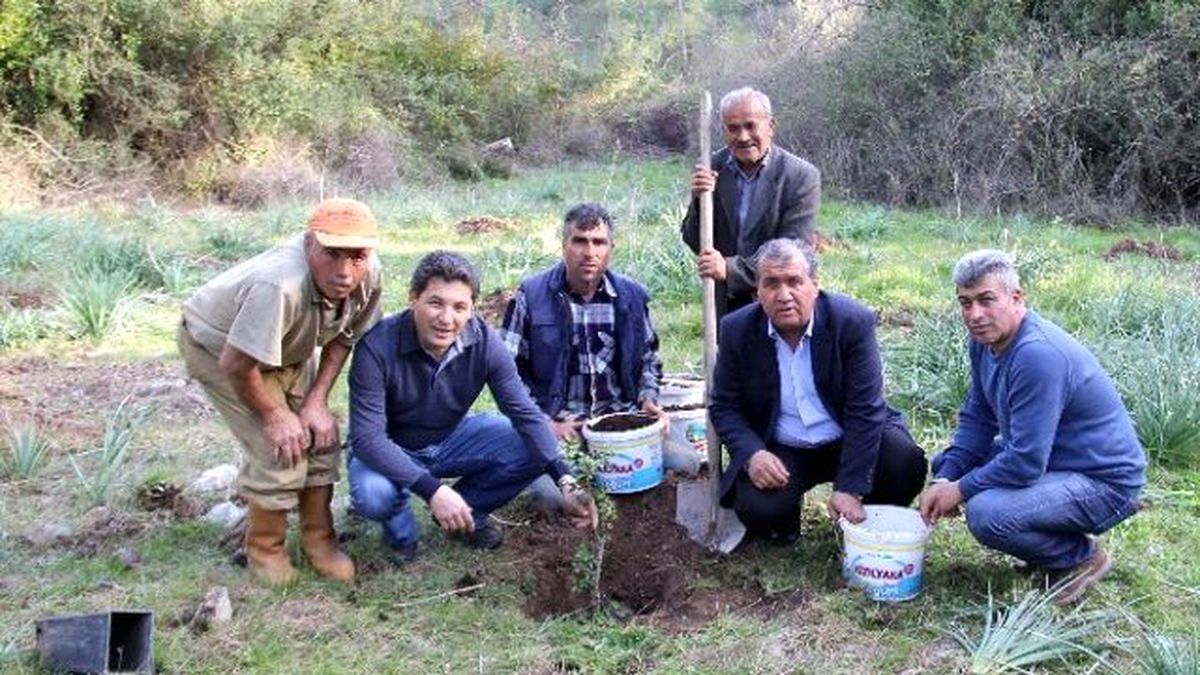 Muğla\'nın Sakız Bahçeleri