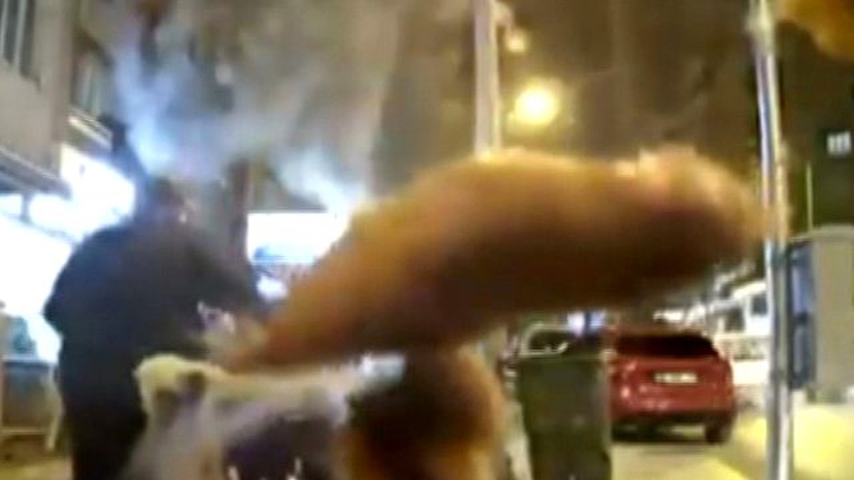 Bisikletli Kişi, Kaldırama Park Edilen Araca Tavuk Butu Attı