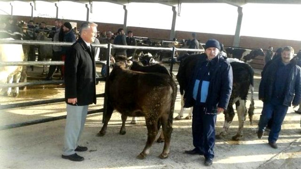 Bolvadin Bölgesel Hayvan Pazarı Tekrar Hizmete Açıldı