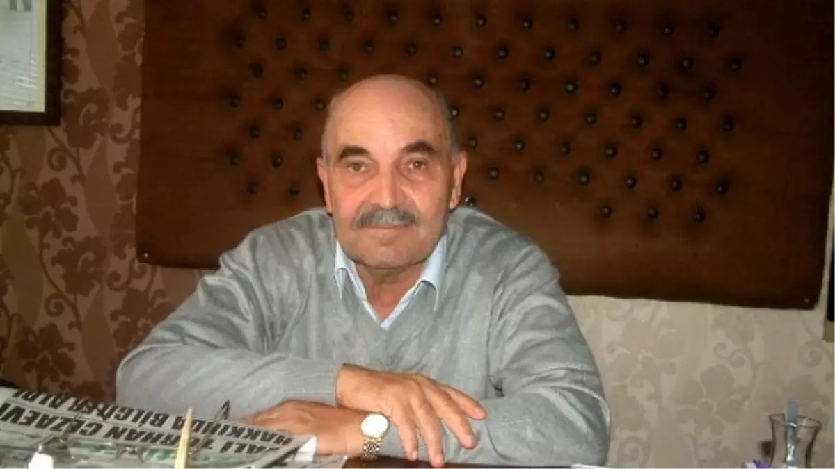 Burhaniye'de Bu Yıl Zeytinlikler Daha Bakımlı