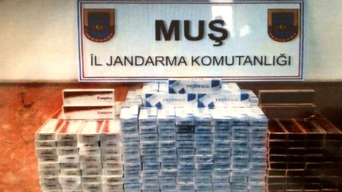 Muş\'ta Uyuşturucu Operasyonu