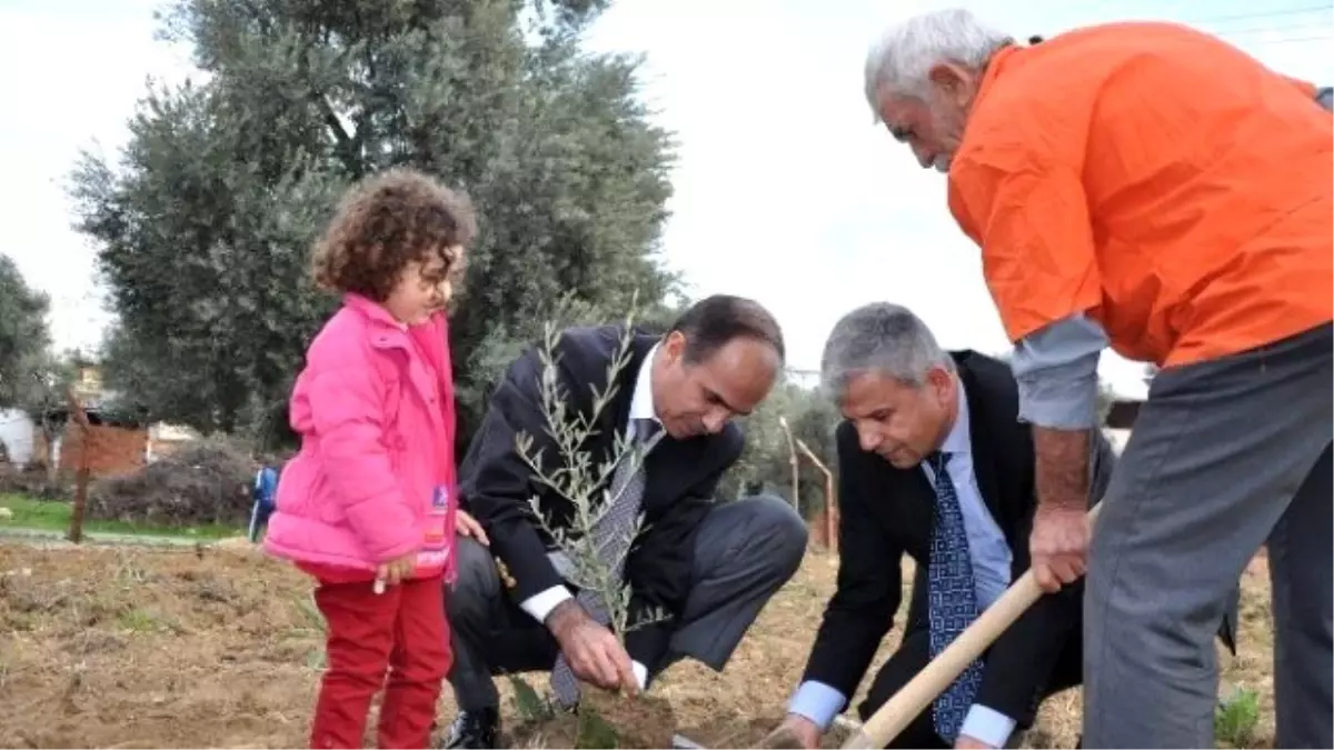 Nazilli'de Hakim ve Savcılardan Fidan Dikme Etkinliği