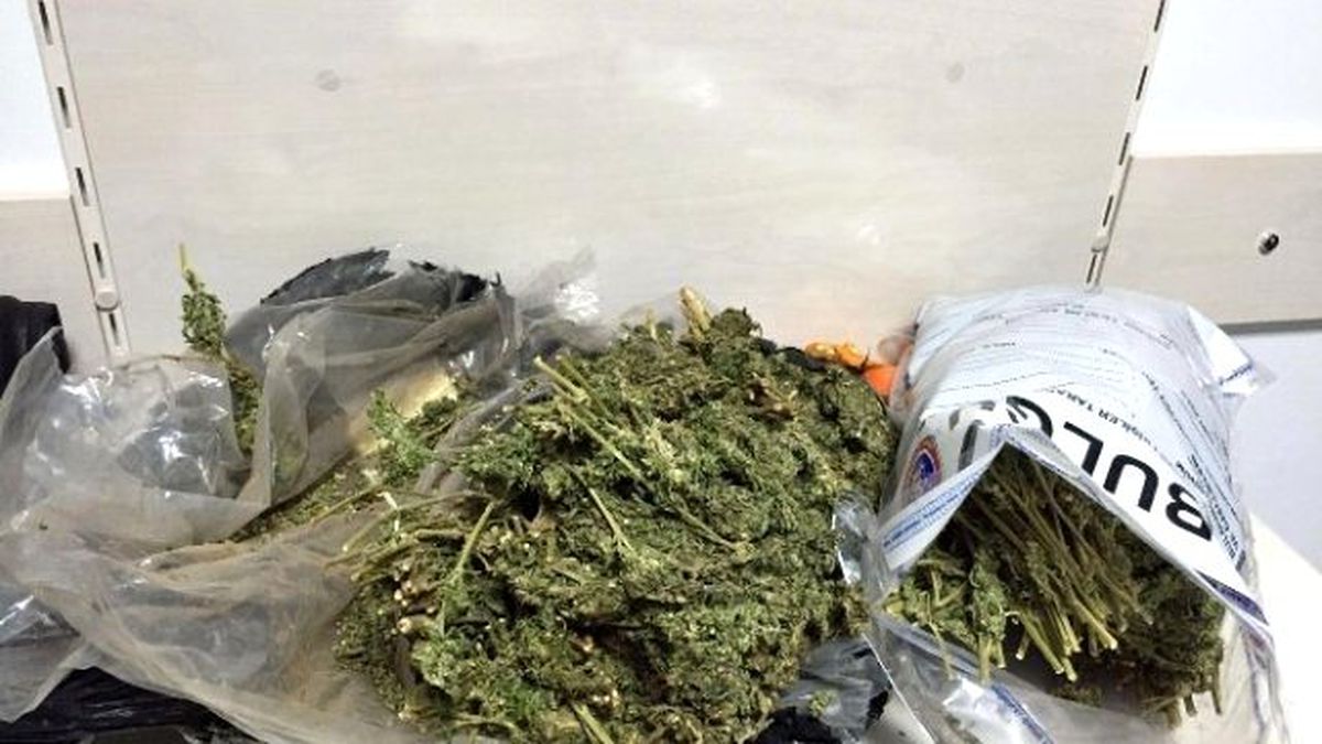 Otobüsteki Yolcunun Valizinden 2 Kilo Esrar Ele Geçirildi
