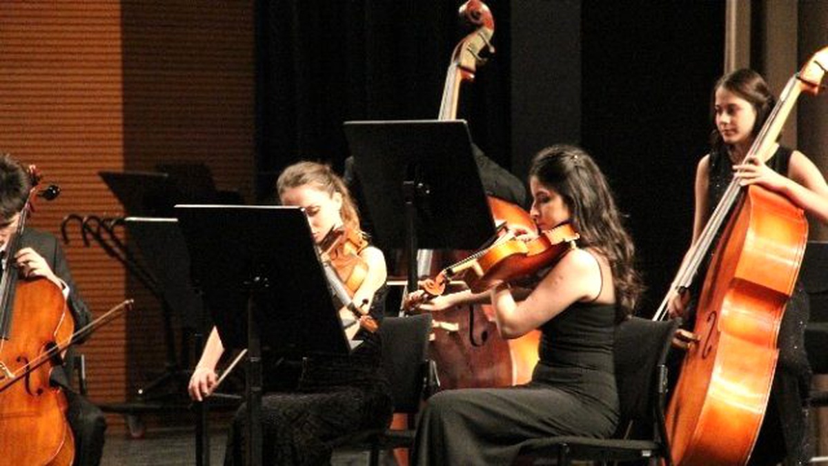 Sokak Hayvanları Yararına Klasik Müzik Konseri