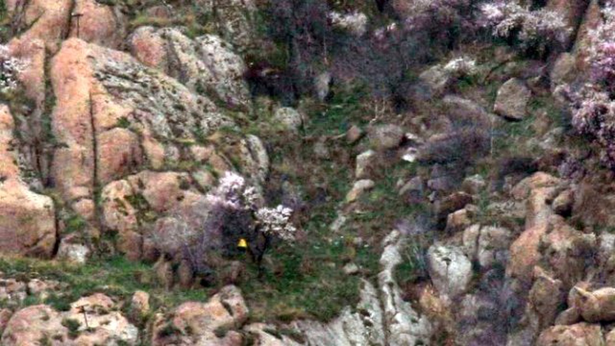 Tarihi Kaleden Düşen Şemsiyesini Almak İçin Kayalıklara Tırmandı